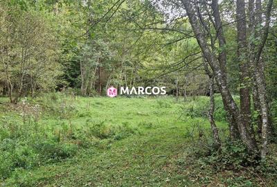 Teren Valiug, 612mp,ID 1036 - 4