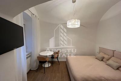 Apartament cu 1 camera de inchiriat, Piata Unirii, Timisoara - 1