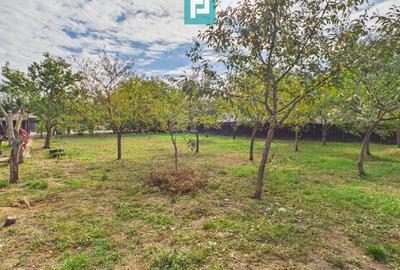 Teren pentru casă – Fântânele - 6