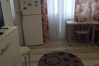 Dristor, garsoniera, 300 euro, 3 min metrou , mobilata , utilata - 4