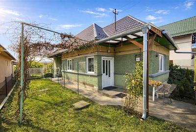 Gospodarie cu atmosfera traditionala,sursa proprie apa,pivnita,magazie,Curteni,T - 1