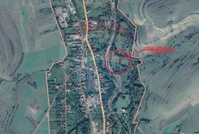 Teren 10.000 mp Calatele – Apuseni, langa rau, ideal investitie turism - 3