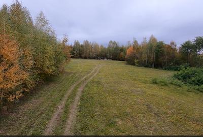 Teren ideal recreere/conectare cu natura/zona Fagaras/achitare in rate - 7