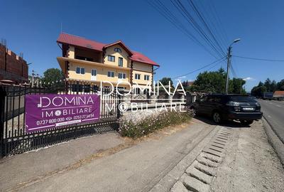 Proprietate complexa P+1+M – *oportunitate business* in Barsesti - 8
