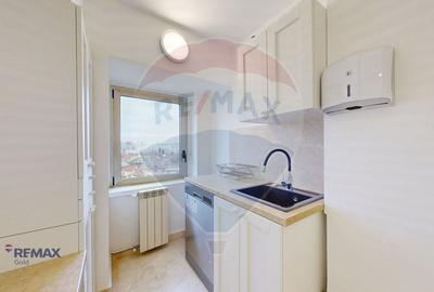 Apartament UNIC- ideal pentru birouri sau resedință în P-ta Alba Iulia - 11