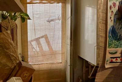 Vanzare apartament cu 3 camere Cismigiu - 10