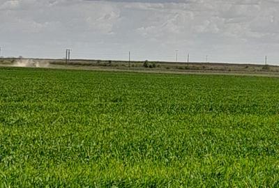 OPORTUNITATE! FERMA FUNCTIONALA, CASA RENOVATA SI TEREN 5HA - 17