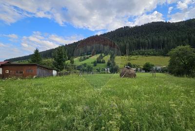 Casa 225 mp, teren intravilan 4822 mp C. Moldovenesc, Suceava - 24