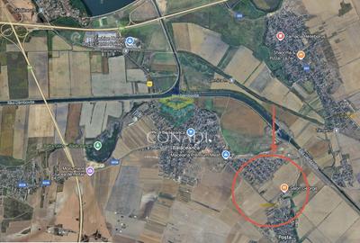 Teren Construcții intravilan de 100000 mp, în Cernica