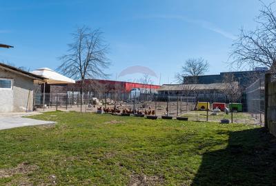 Afumati - vanzare casa si anexe cu teren intravilan, suprafata 700 mp - 29