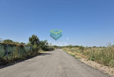 Teren de vanzare cu autorizatie pentru 2 hale - Otopeni - 10.000 mp - 13