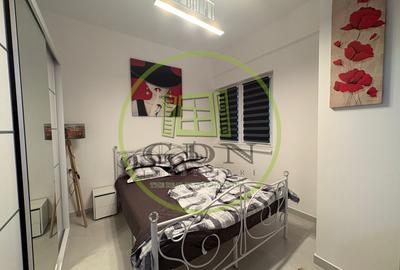 Apartament, 2 camere, open-space, Calea Bucuresti, Zona Electroputere - 3