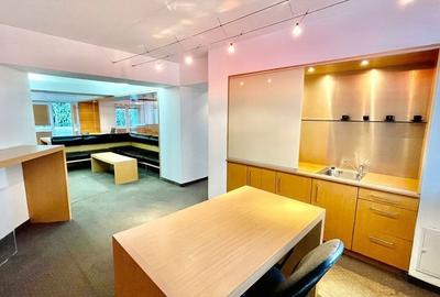 Super Investitie! 5 camere Unirii-Fantani, ideal birou, rezidential - 6