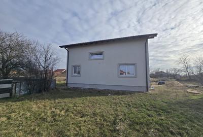 Casă individuală în vatra satului Albina - 15