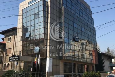 Birou, 133 mp în Primăverii