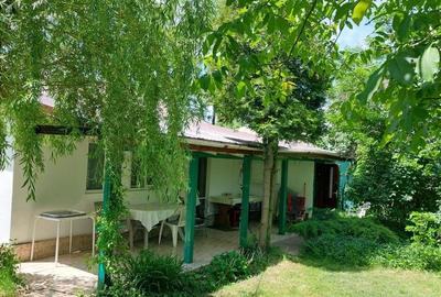 Casa 3 camere Parter Giurgiu Com Bucsani - 3