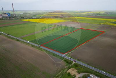 Teren agricol extravilan de 30000 mp, în Grădiște