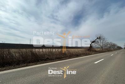Teren Construcții intravilan de 1300 mp, în Căciulești