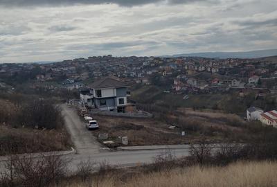 Teren intravilan 479mp in Dezmir - 16