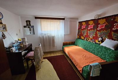 Casă individuală D+P, Timișoara, zona Girocului, comision 0% - 11