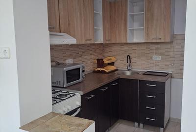 Calea Torontalului, apartament spatios, langa parc - 4