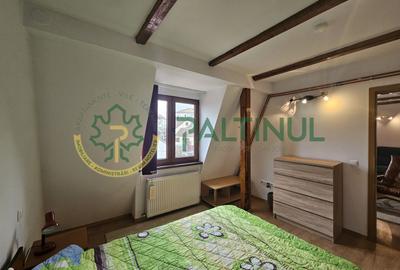 Apartament de închiriat la casă, 2 camere, aproape de Parcul Sub Arini – Sibiu - 12