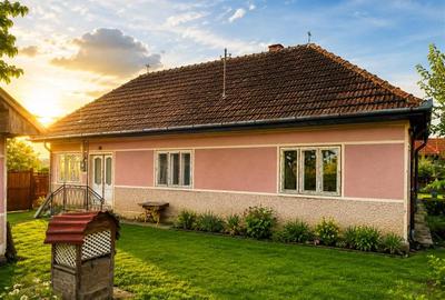 FILM! Gospodarie cu atmosfera traditionala,1.032 mp de verde si gradinarit, Sanz - 9