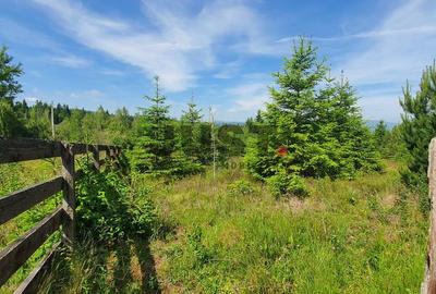 Ai obosit să cauți liniștea în cafenele? Cumpăr-o cu tot cu priveliște. - 1