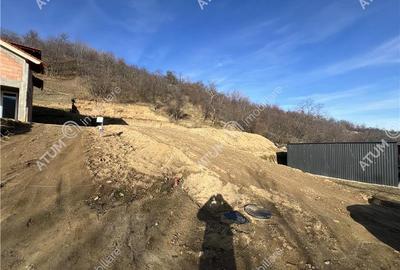 Teren intravilan de 1641 mp cu PUZ aprobat si utilitati in Cisnadioara - 14