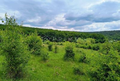 Oportunitate de investiție – 4 parcele în Corunca, 20 €/mp - 5