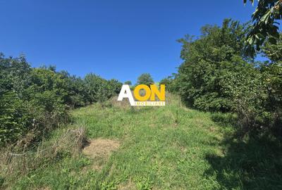 Comision 0%! Casa 3 camere Gura Ariesului, 1500mp Teren - 11
