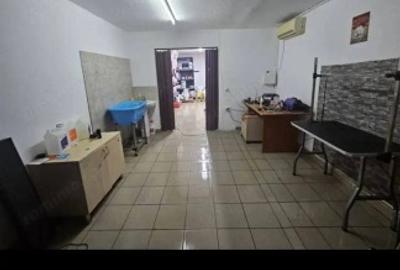 Spatiu comercial Pitești - 7