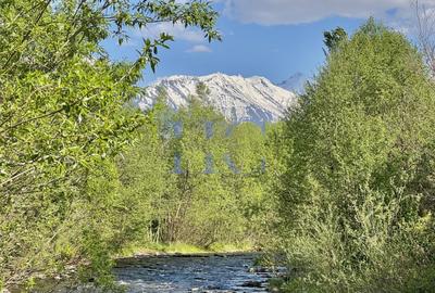 Teren de vânzare – Valea Avrigului, jud. Sibiu | 1.600 mp - 2