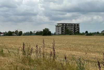 Pantelimon -Lebada- str.Olanesti(spre fabrica de Paine), 5000 mp. - 1