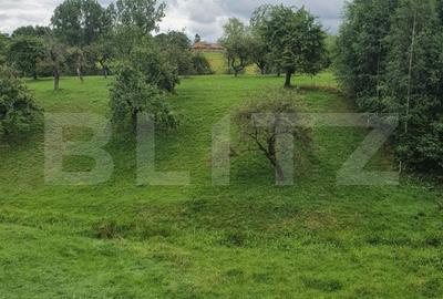 PENSIUNE IN Bran, SOHODOL, 700 mp utili, 3600mp teren, Doar 169999 EURO - 6