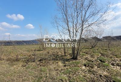 Vanzare teren intravilan, 978 mp, comuna Dragutesti, sat Urechesti - 7
