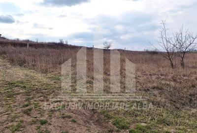 Teren intravilan | De vanzare | 640 mp | 12 ml deschidere | Limba - 3