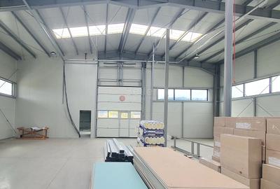 Productie Depozitare Logistica - 8