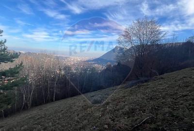 Teren Colinar Panoramic – 17.684 mp în Scheii Brașovului - 9