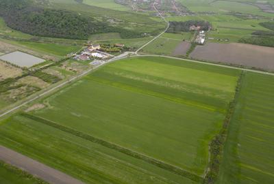 Teren extravilan de 22500mp Zona Ineu - 4