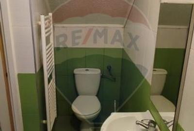CASĂ DE VÂNZARE cu spatiu comercial in Baia Mare - 18