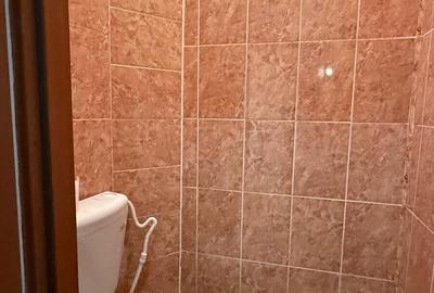 COPOU, UNIVERSITATEA CUZA, APARTAMENT CU 1 CAMERA DE INCHIRIAT - 8