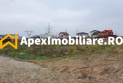 Catelu | Teren 5000MP | Intravilan | 15 Minute Metrou | OPORTUNITATE - 1