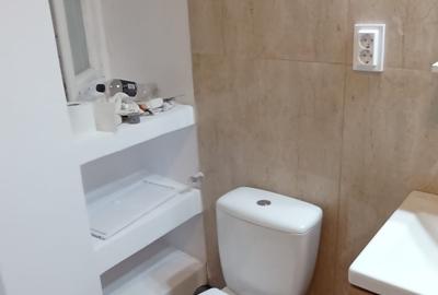Apartament 3 camere NEMOBILAT demisol vila zona Dimitrie Cantemir-Marasesti - 7