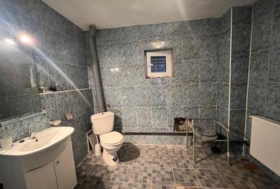 Casă de vânzare cu gradină Priseaca, mutare imediată - 10