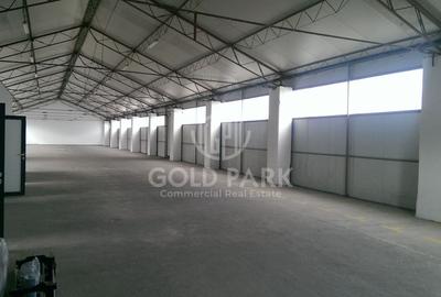 Spațiu industrial, în Someșeni