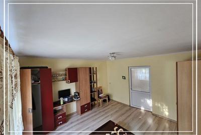 Opurtunitate si liniște Casa de vânzare la cheie Mocrea Jud. Arad - 14