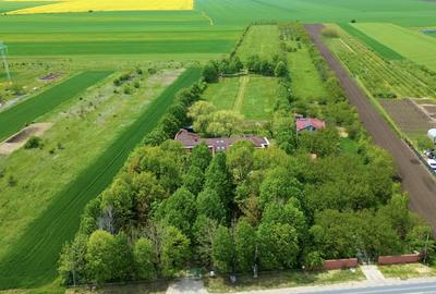 Domeniu privat, resedinta ampla 8.000 mp teren, posibil extindere la 28.812 mp! - 2