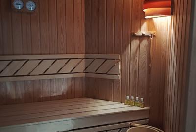 REȘEDINȚĂ DE LUX ÎN CENTRUL BAIA MARE – DESIGN INOVATOR ȘI CONFORT DE EXCEPȚIE - 14