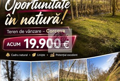 Oportunitate rară! 1 ha pădure Corcova – teren cu potențial real - 1